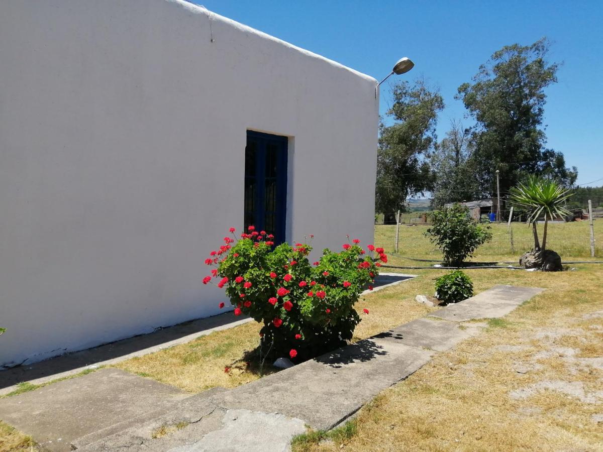 La Chacra Casa de hóspedes Minas Exterior foto
